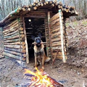 Log Cabin Building in the Woods - Off Grid Living, Overnight Bushcraft Camping, Survival Skills