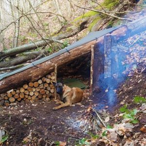Bushcraft Shelter Camping - Off Grid Cooking, Survival Skills, Campfire, Asmr, Diy