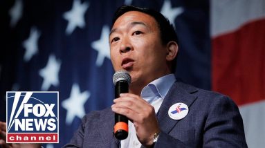 Andrew Yang: Our political system is dysfunctional | The Untold Story
