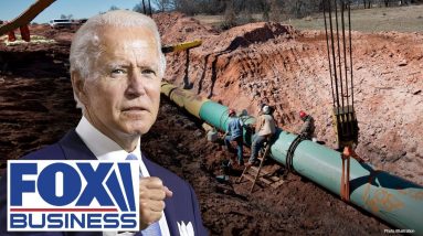 Biden put America at mercy of OPEC: DeAngelis