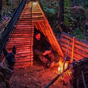 Overnight Bushcraft Shelter Camping in a THUNDER STORM - Forest Camp | Survival Skills DIY ASMR