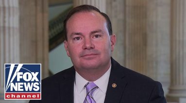 Mike Lee: The Democrats' 'over-imagined their own majority'