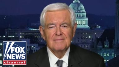 Newt Gingrich: Biden is rejecting reality