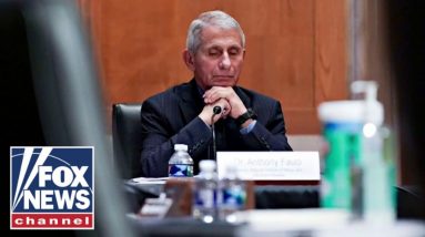 'The Five' react to Fauci's continued denial