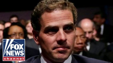 Hunter Biden business deals are 'genius-level corruption': Peter Schweizer