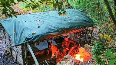 Bushcraft Shelter Camping - Campfire Cooking, Off Grid Living, Survival Skills, Wilderness, DIY