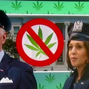Will legislation for marijuana legalization ever make it to Biden's desk?