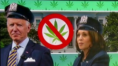 Will legislation for marijuana legalization ever make it to Biden's desk?