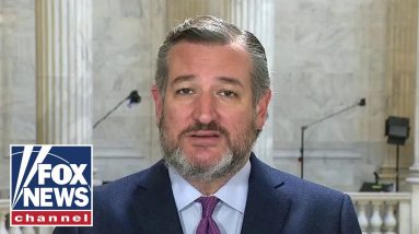 Ted Cruz makes major predictions on Virginia race, midterms