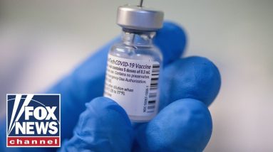 'The Five' knock impact of vaccine mandates causing travel chaos