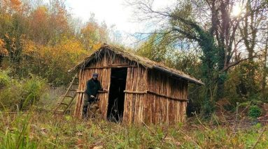 Log Cabin - Building Primitive Forest House from Start to Finish, Off-Grid Living, DIY, ASMR