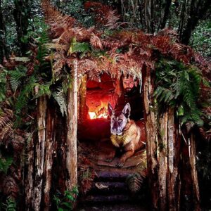 3 Days Solo Winter Camping in Rain - Bushcraft Survival Shelter, Camp Cooking, Documentary, ASMR