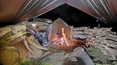 Bushcraft Camping in the Wilderness With My Dog, Wilderness Cooking, Nature Sounds, Asmr