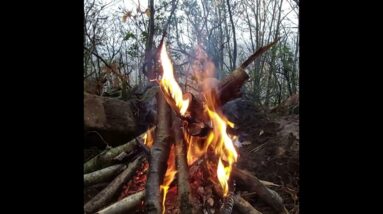 Cooking Turkey Underground, Recipes, Outdoor Cooking #survival #bushcraft #outdoorcooking