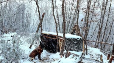 2 Days Winter Camp in the Wilderness with My Dog, Nature Documentary