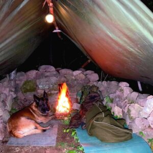 Solo Camping Adventure with My Dog: 3 Days of Shelter Building & Survival