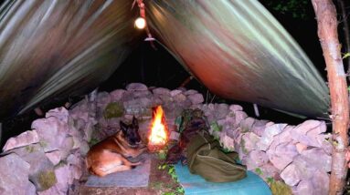 Solo Camping Adventure with My Dog: 3 Days of Shelter Building & Survival