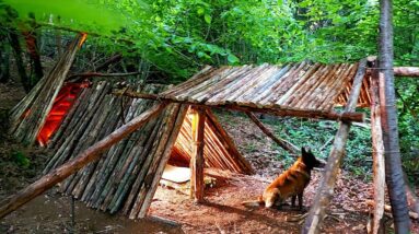 Solo Off-Grid Shelter Build + Campfire Cooking | Peaceful Forest Vibes