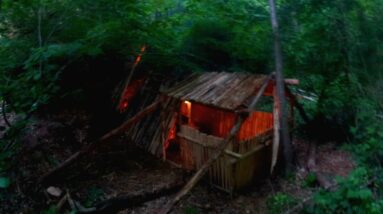 Building a Bushcraft Shelter with Fireplace | Wilderness Survival with My Dog