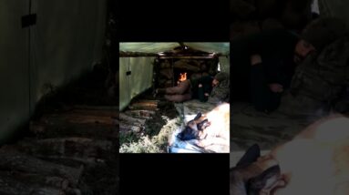 Snowstorm in the Forest – Survival & Cozy Cooking with My Dog