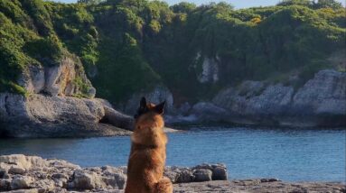 Secret Coastal Camp | Fishing, Grilling & Peaceful Escape with My Dog.fishing,  campfire