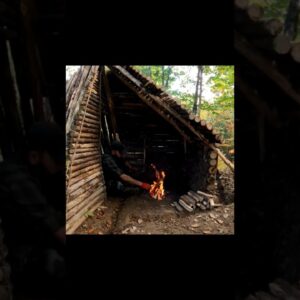 Wilderness Life with My Dog | Bushcraft Shelter & Delicious Camp Cooking