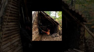 Wilderness Life with My Dog | Bushcraft Shelter & Delicious Camp Cooking