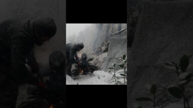 Winter Storm Survival with My Dog | 2 Days Under a Tarp