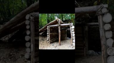 Building a Warm Shelter Deep in the Forest & Grilling Meat