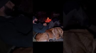 Built a Shelter & Grilled Meat over the Fire