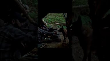 Built a Shelter & Grilled Meat over the Fire