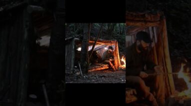 Forest Shelter & Campfire BBQ with My Dog 🐾🔥