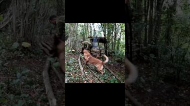 Rainy Day Shelter & Cooking with My Dog