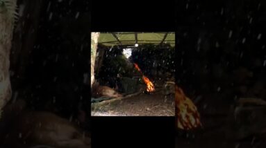 Snowstorm Survival with My Dog Under a Rock Shelter