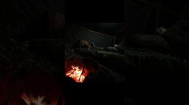 Bushcraft Camp in the Deep Forest | Fishing & Campfire Cooking