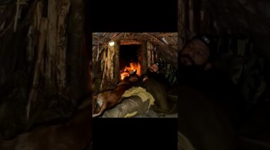 Bushcraft Camp in the Wild Forest | Shelter & Campfire with My Dog