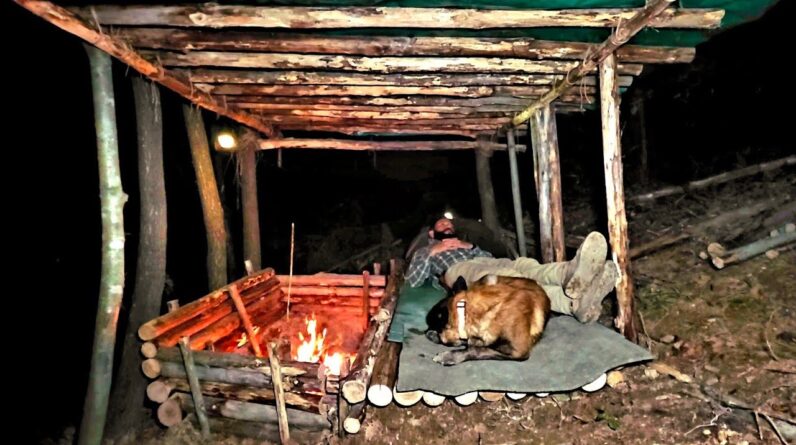 Wild Mountain Storm Camp | Open-Front Shelter, Fire-Heated Bed & Delicious Meat with My Dog