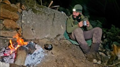 Stormy Mountain Camp with My Dog: A Survival Journey I Didn’t Expect