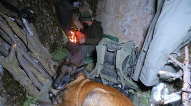 I Almost Quit… 2 Days Winter Camping With My Dog in Deep Snow (-7°C)