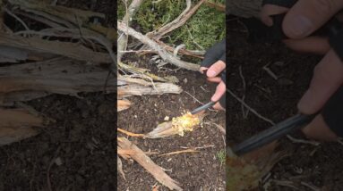 Snow Survival Fire That Will Save Your Life #bushcraft #camping #hack