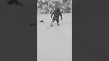 This Deep Snow Almost Got Me #snowboarding #nature #survival