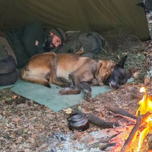 When Wild Animals Got Too Close | My Dog's Warning Saved Us