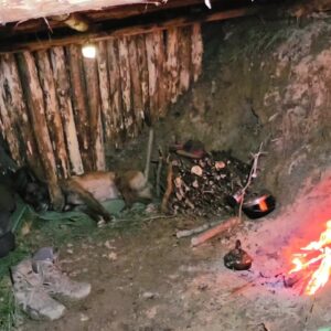 2 Days in My Forest Shelter with My Dog | Wilderness Survival