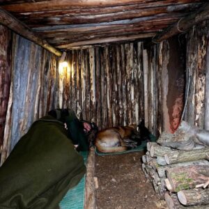 I Built a Warm Survival Shelter in the Forest with My Dog (Fire Inside)