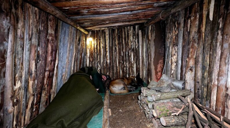 I Built a Warm Survival Shelter in the Forest with My Dog (Fire Inside)