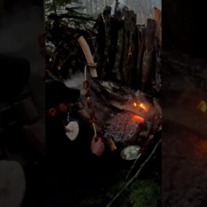 My Dog and I Barely Made It Through the Night #survival #extreme