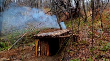 Will My Dog Stay Calm in Underground Shelter for 2 Days?