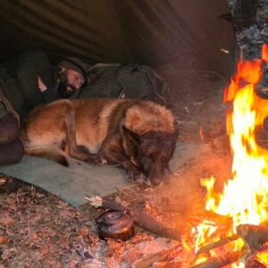 Camping Under Heavy Rain All Day with a Tarp! My Dog and I Got Caught in a Rainstorm