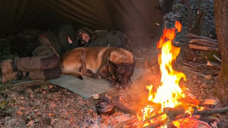 Camping Under Heavy Rain All Day with a Tarp! My Dog and I Got Caught in a Rainstorm