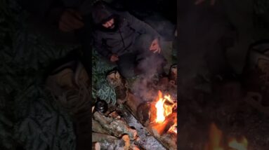 2 Days Surviving in a Pine Branch Shelter with My Dog